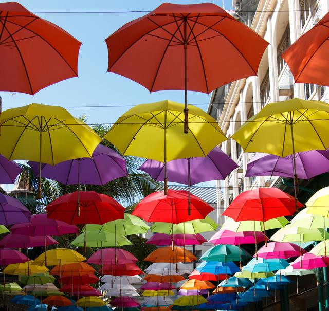 La introducción de ​Sunny Umbrella